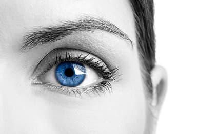 Face measurement visualization